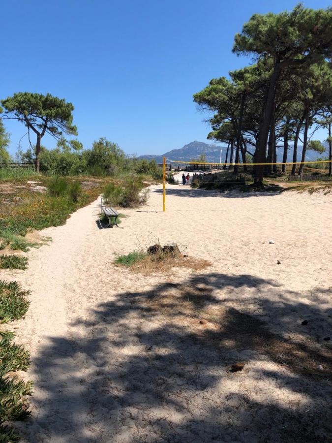 Ferienwohnung Duplex Renove Les Pieds Dans L'Eau Calvi  Exterior foto