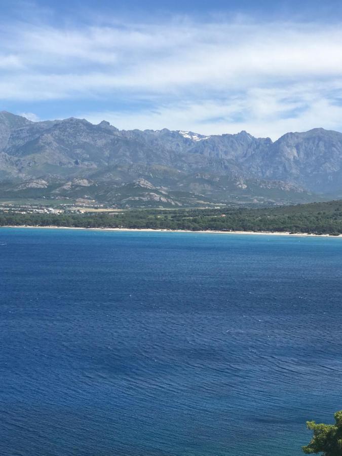 Ferienwohnung Duplex Renove Les Pieds Dans L'Eau Calvi  Exterior foto